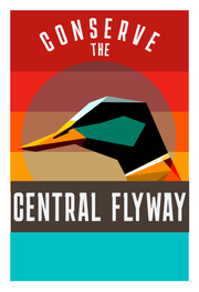 Conserve the Central Flyway Art Print