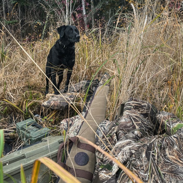 Floating Shotgun Case