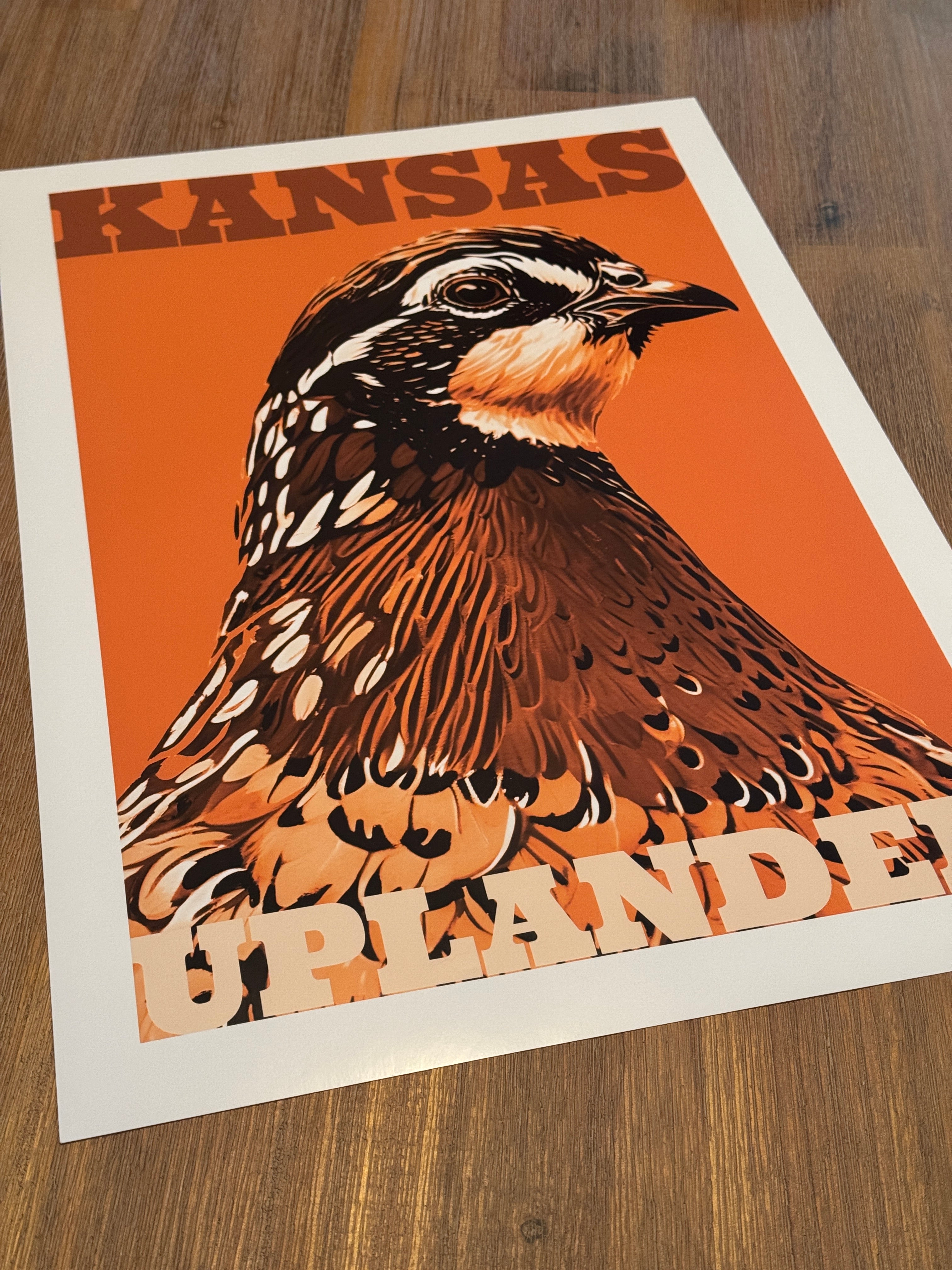 Bobwhite Quail Art Print