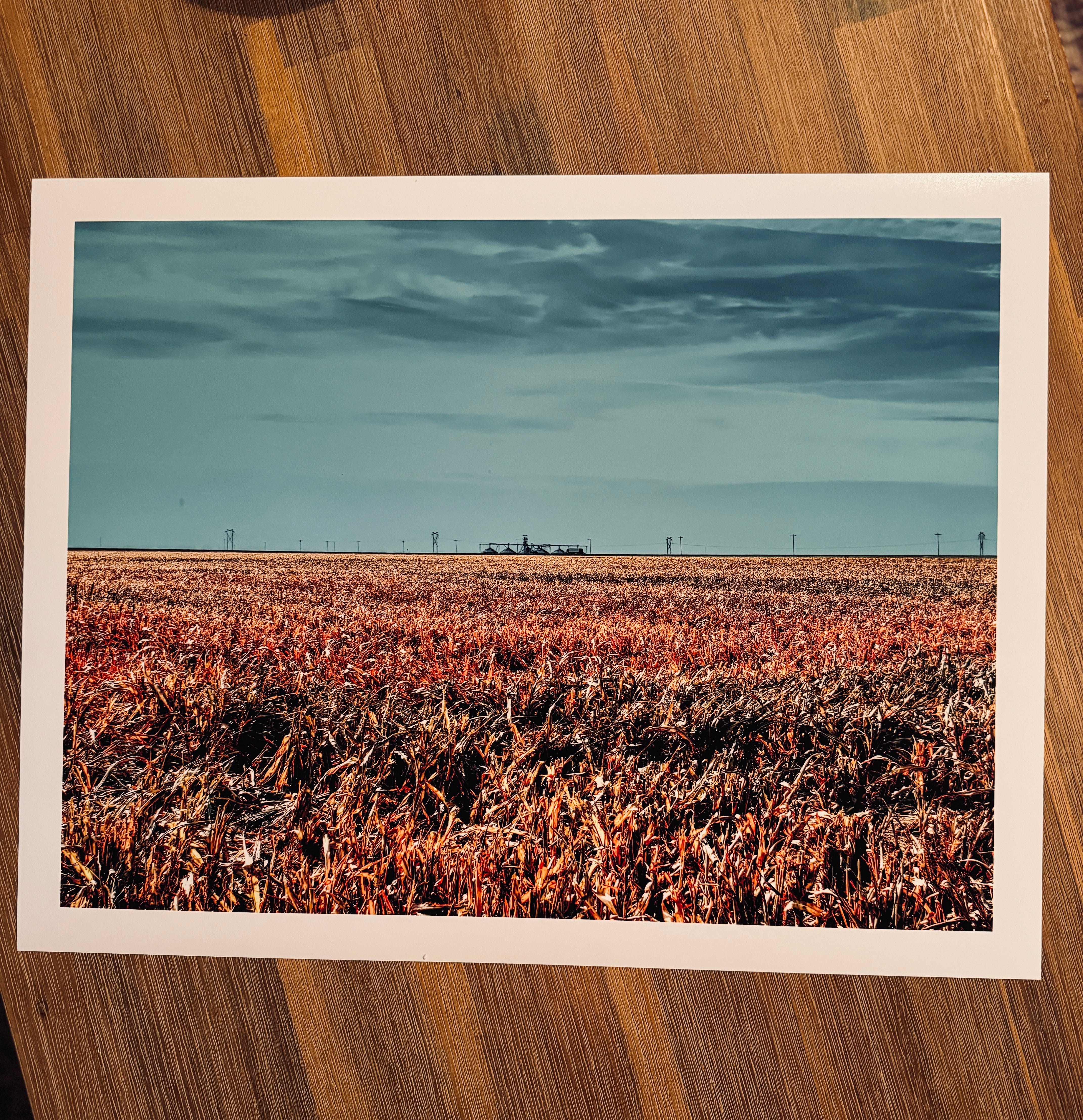 CENTRAL KANSAS FARM LANDSCAPE
