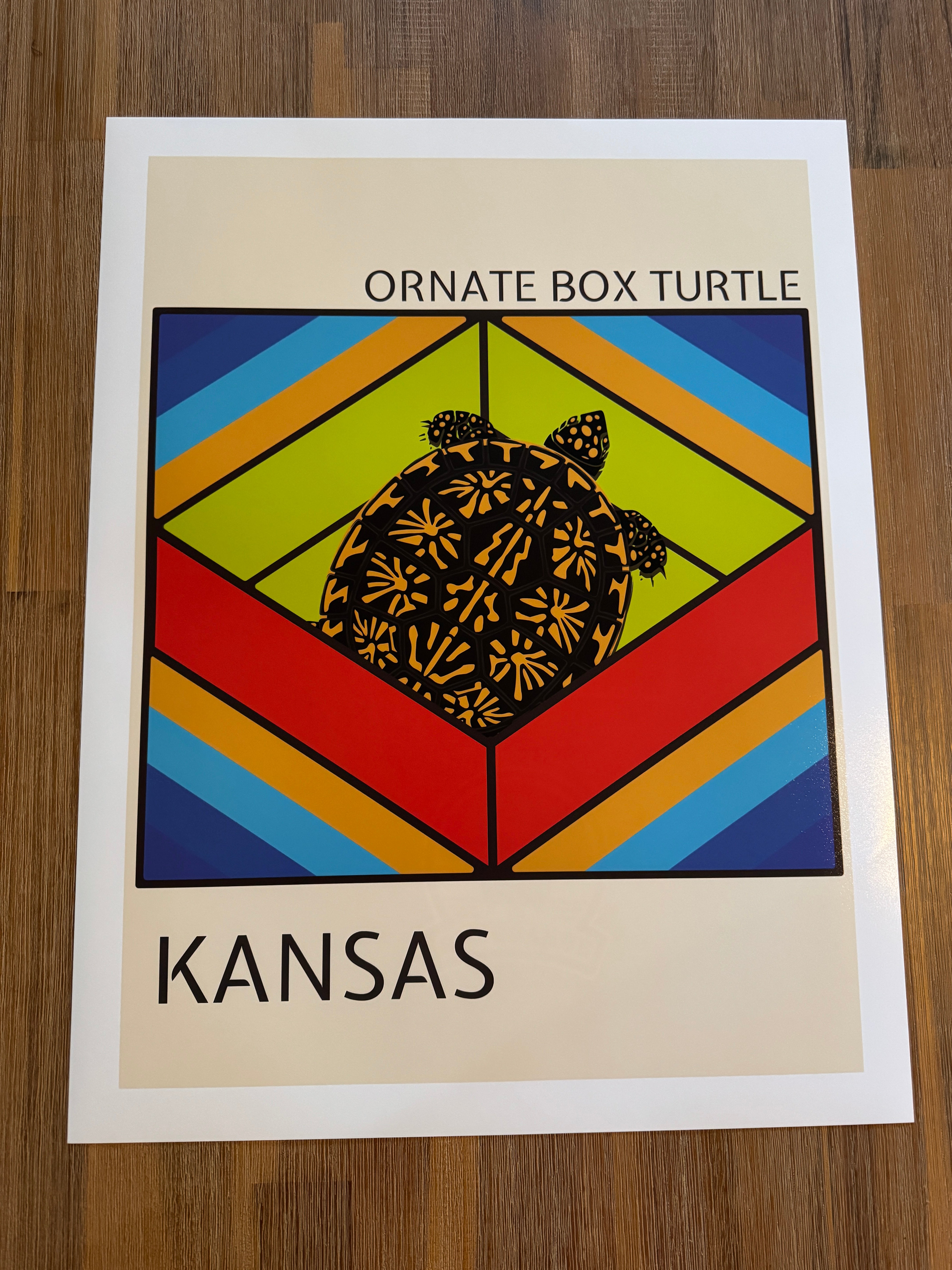 Ornate Box Turtle Art Print
