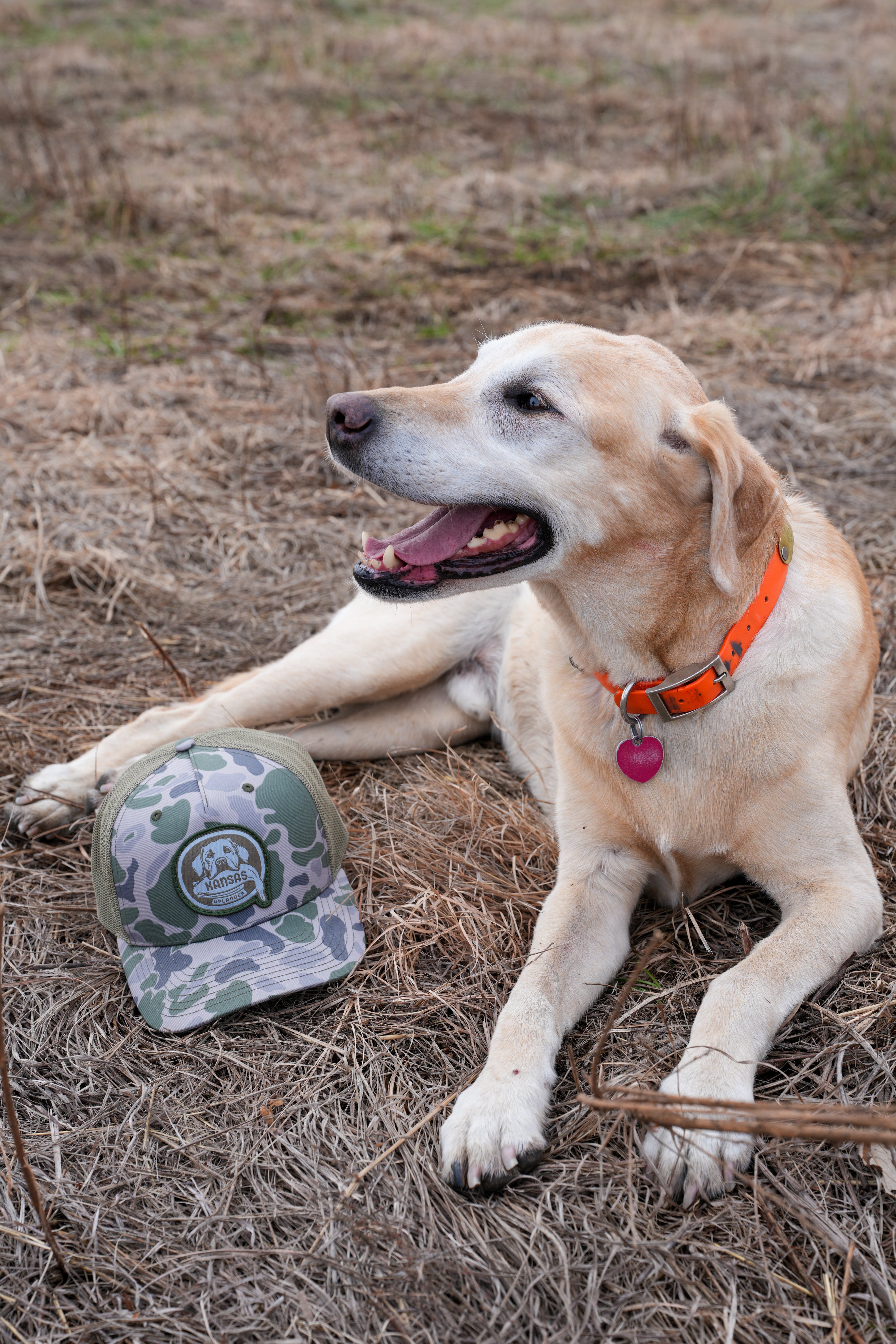 The 'Wade' Light Camo Trucker