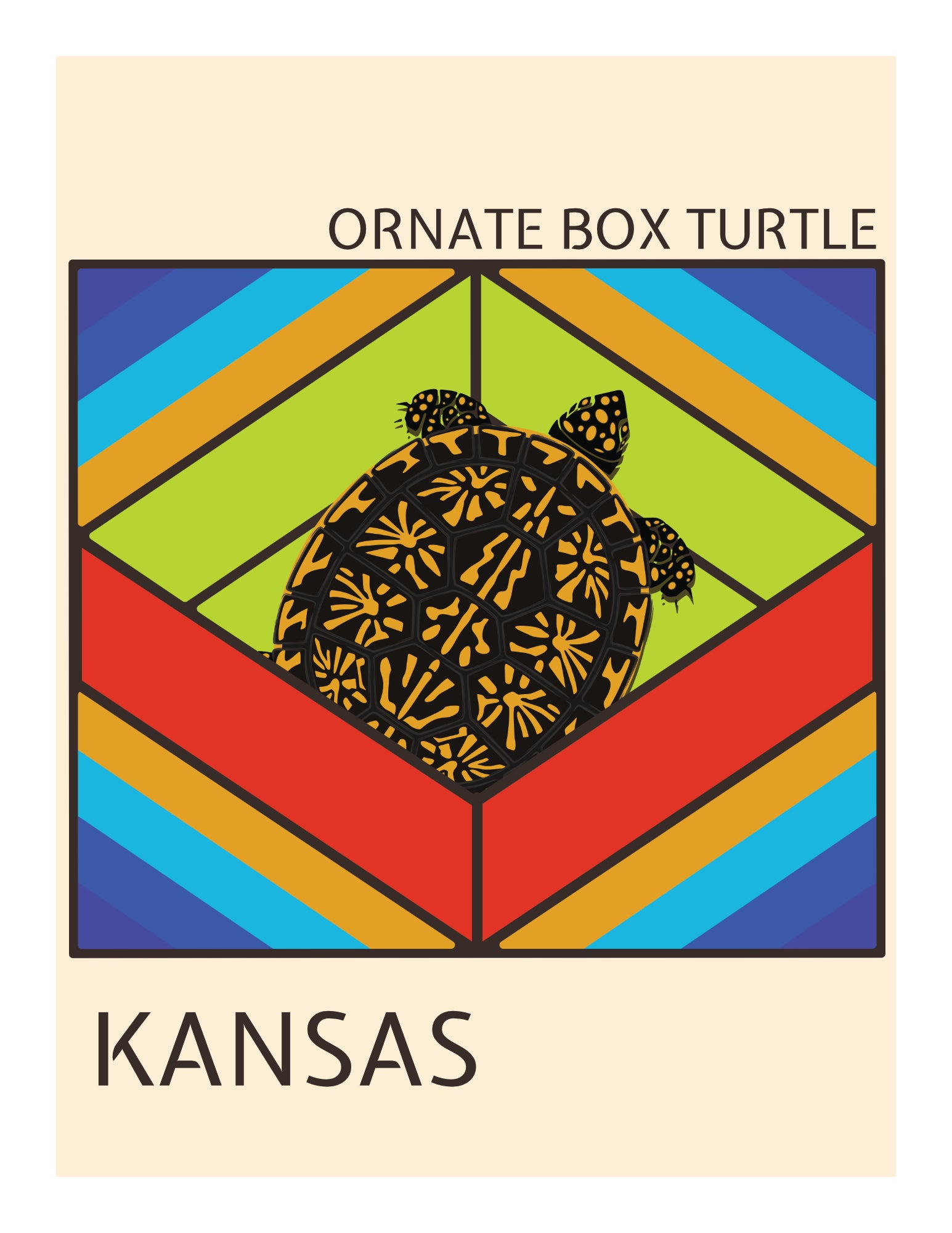Ornate Box Turtle Art Print