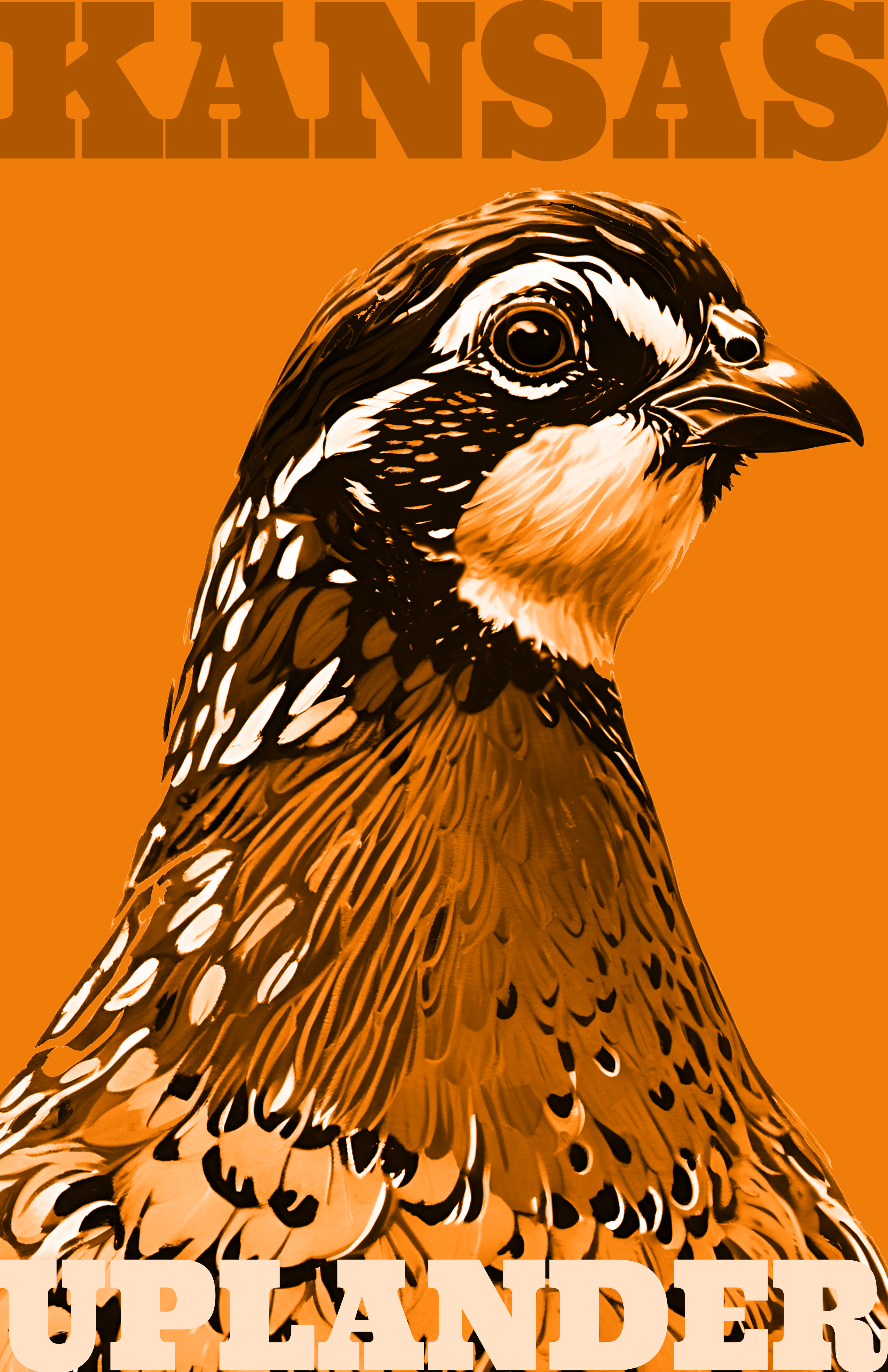 Bobwhite Quail Art Print