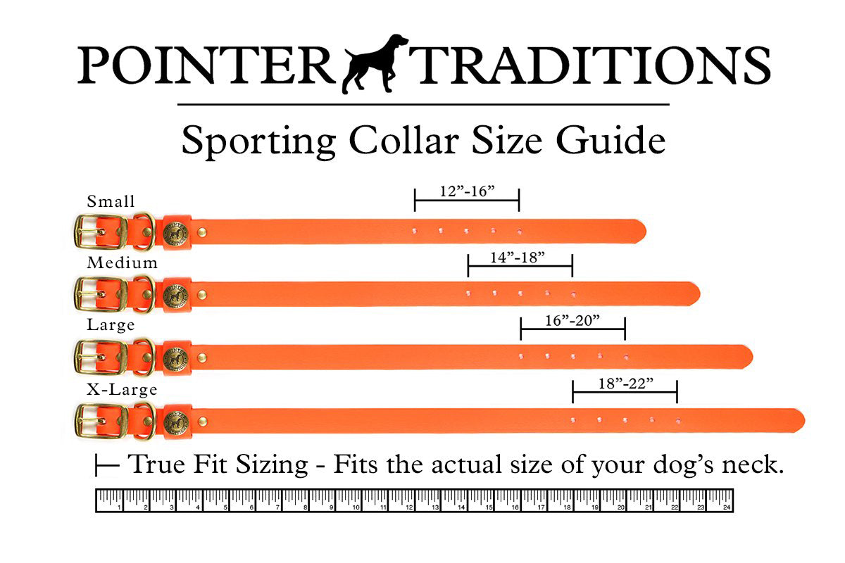 Sporting Dog Collar - Ranger Green