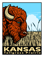 Tallgrass Buffalo Art Print